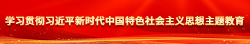 播放黄色网站骚逼学习贯彻习近平新时代中国特色社会主义思想主题教育