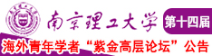 性感御姐口爆视频南京理工大学第十四届海外青年学者紫金论坛诚邀海内外英才！